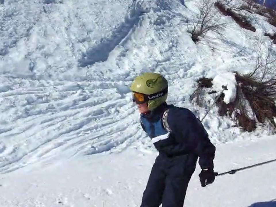 ski (489)