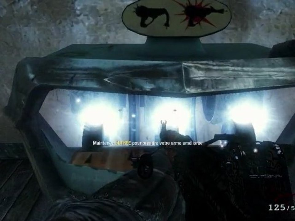 Les Arme Zombies Black Ops (HD)