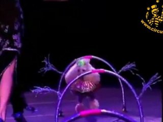 Art Company present ID 9