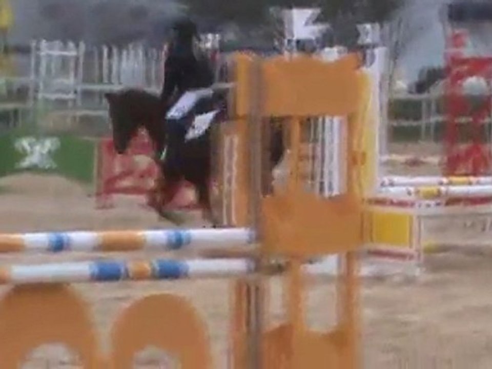 poney 4 aux costières 13022011