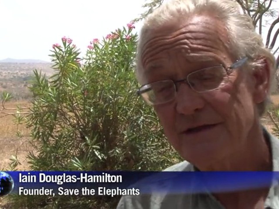 Demand for ivory worries Kenyan conservationists