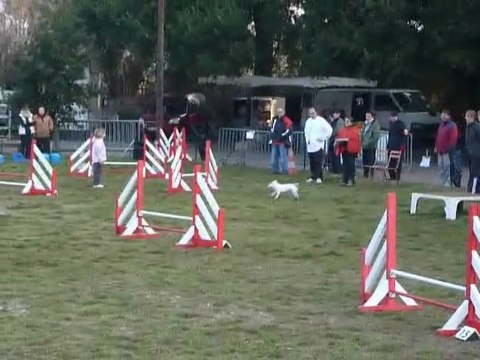 Vodka & Coralie - Open Martigues 13-02-11