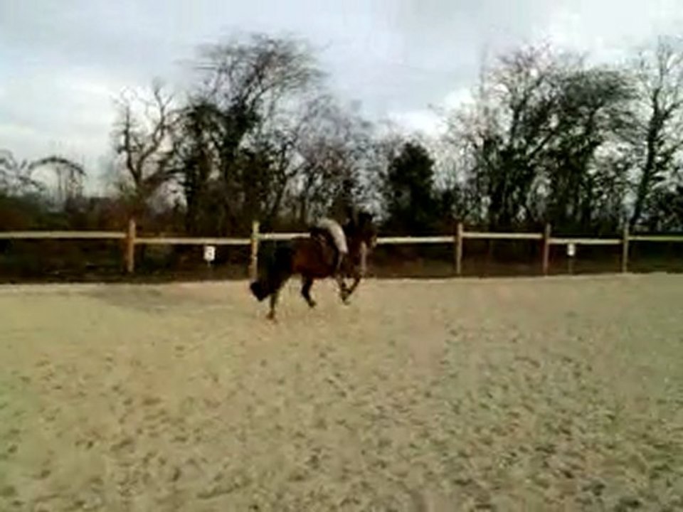 Luciole et Morgane (13/02)