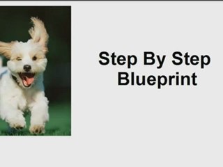 Toilet Training Puppies Video