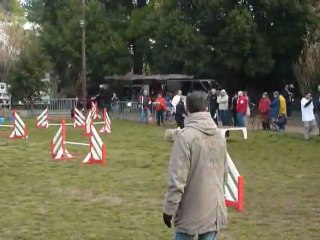 Taz - Open+ Martigues 13-02-11