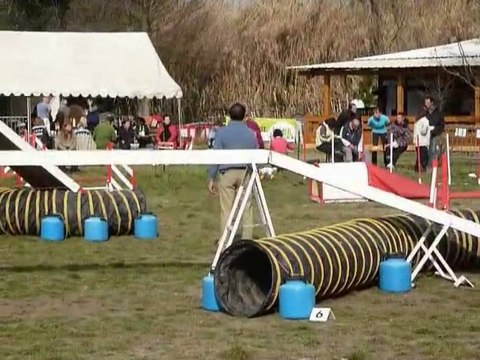 Vodka - 3e degre Martigues 13-02-11