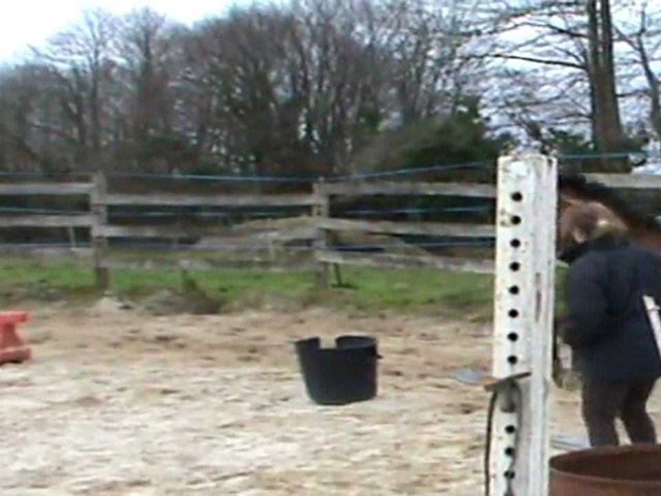 essai laure