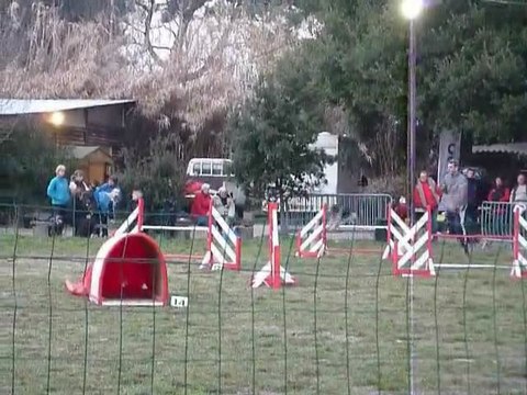 Brownie - Jumping+ Martigues 13-02-11