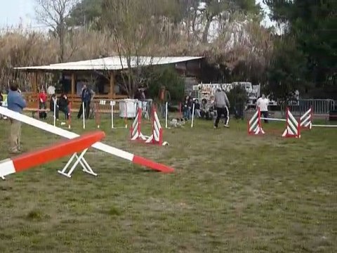 Brownie - Open+ Martigues 13-02-11