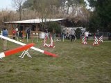 Brownie - Open+ Martigues 13-02-11