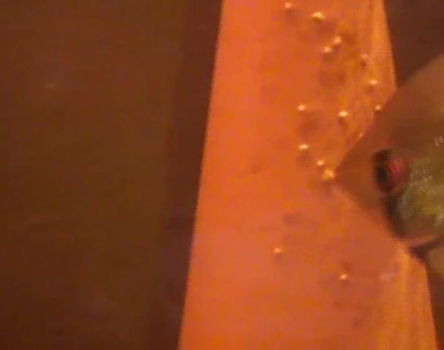 Vidéo N°1 alevin scalaires