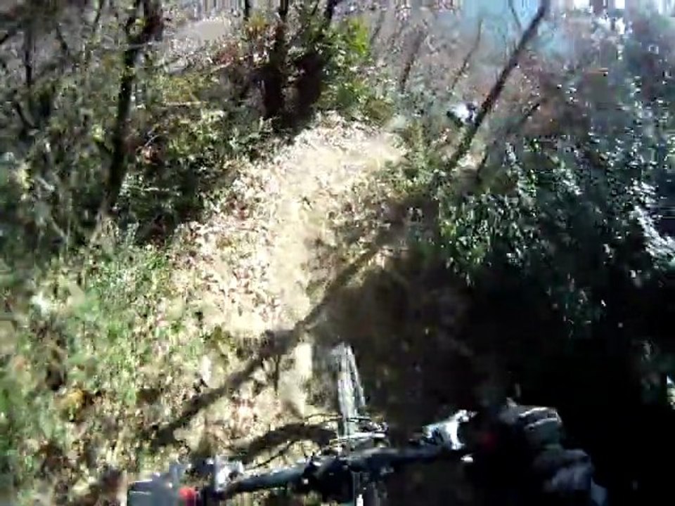 DH-Guilhem-Loic