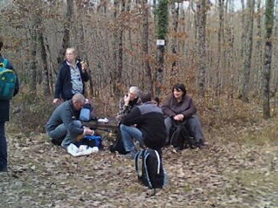 Foret OVS_0001