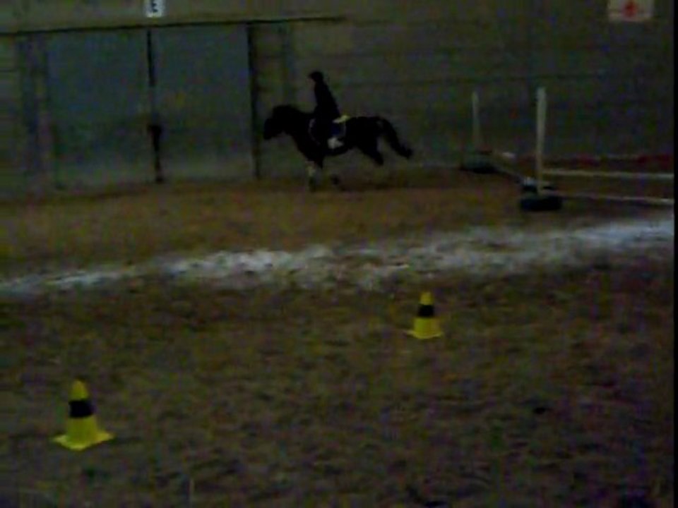 Concours Manège ~ Apache & MoOw