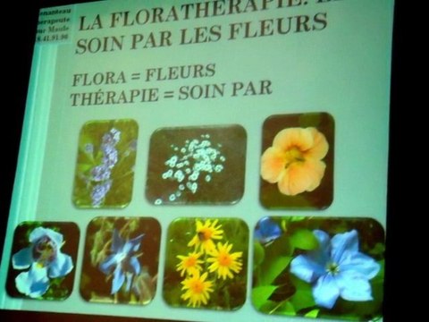 1er Salon du Bien-Être à Maule (Yvelines)