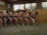 le secret des lutteurs de sumo