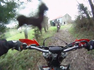 Sortie foret de Pierrefite dérrière Jérome