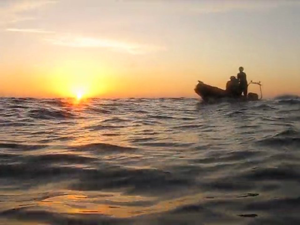 ile habibas kadda