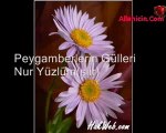 Peygamberlerin Gülleri-Nur yüzlüm(şiir)