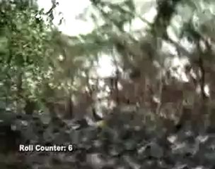 Flood Stage Kayaking