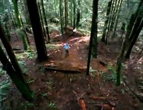 Roam - MTB by Collective