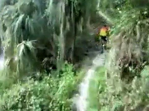 Loyce E. Harpe MTB - Roller Coaster - Big Mamma's House