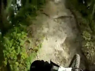 Loyce E. Harpe MTB - 1st Finger & 2nd Finger