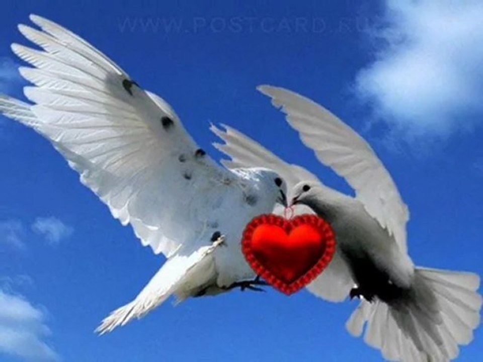 SEVGİLİLER GÜNÜ - EMİRKAN - DEMET AKALIN