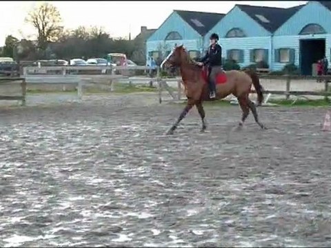 Kerguélen - Samedi 12 Février 2011 - 17h15