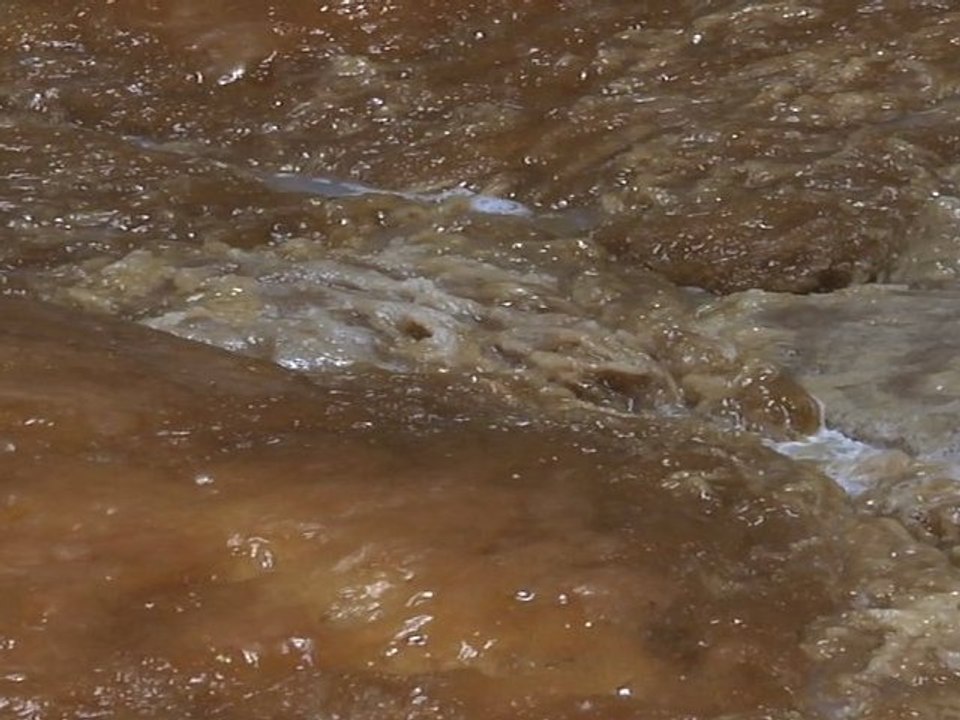 Le Savon de Marseille: un cube d'or