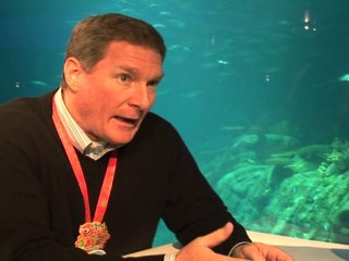 Hong Kong rare whales plan riles activists