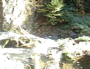 Nanty Cascades