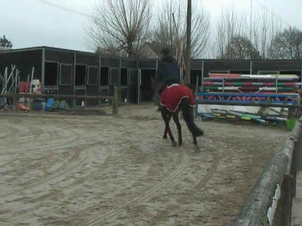 Mercedes 13/02/11