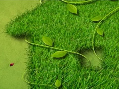 Télécolo, les Ampoules basse consommation