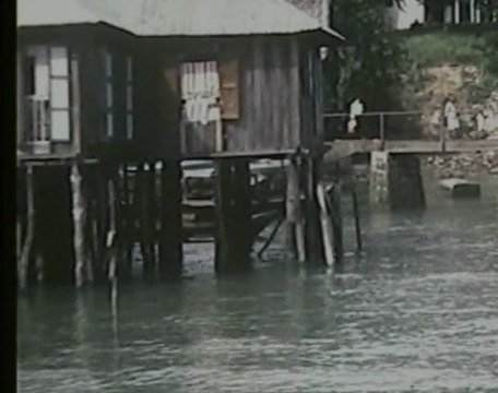 Capture brut easy transfert pack 520l 14.02.2011