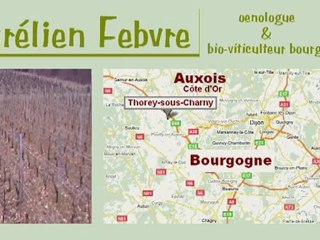 Viticulture bio en Bourgogne-Auxois - Aurélien Febvre (4)