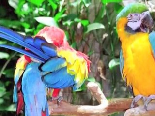 Tourist Attractions in New Orleans, USA