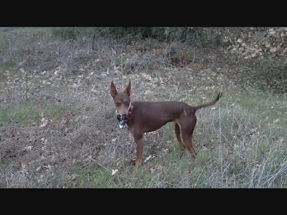 Un après-midi en Février