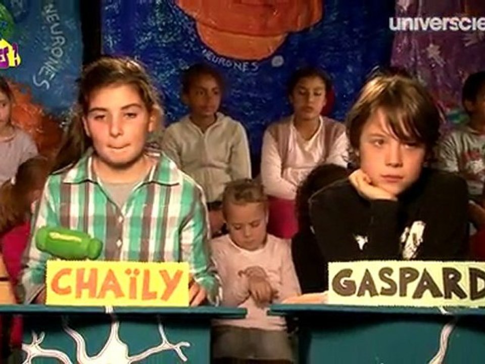 Les fossiles