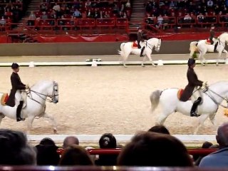 Ecole Espagnole d'équitation de Vienne, Bercy 2011 Quadrille