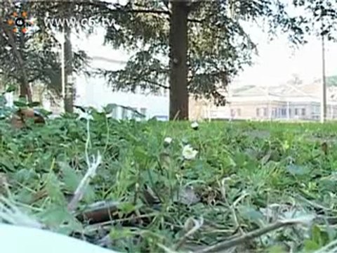 Tempo di pagelle? Ora anche per i dipendenti pubblici