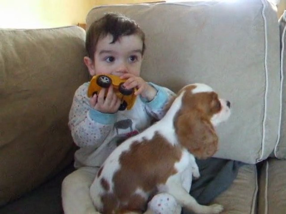 forester et alexandre