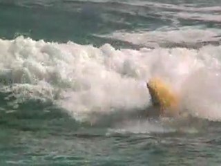 Australian Feestyle Kayaking Team Selections 2007