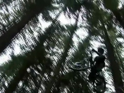 Gnarly Dh jump trail