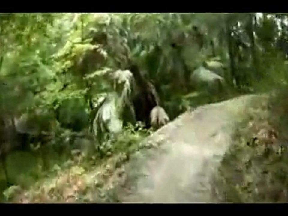 Alafia River State Park - North Creek Trail