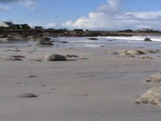 les kékés en vadrouille