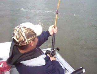 Sturgeon Jump on the Columbia River in Portland Oregon