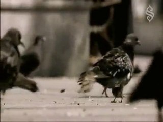 Sürgün - Sacit Onan [Merhum]