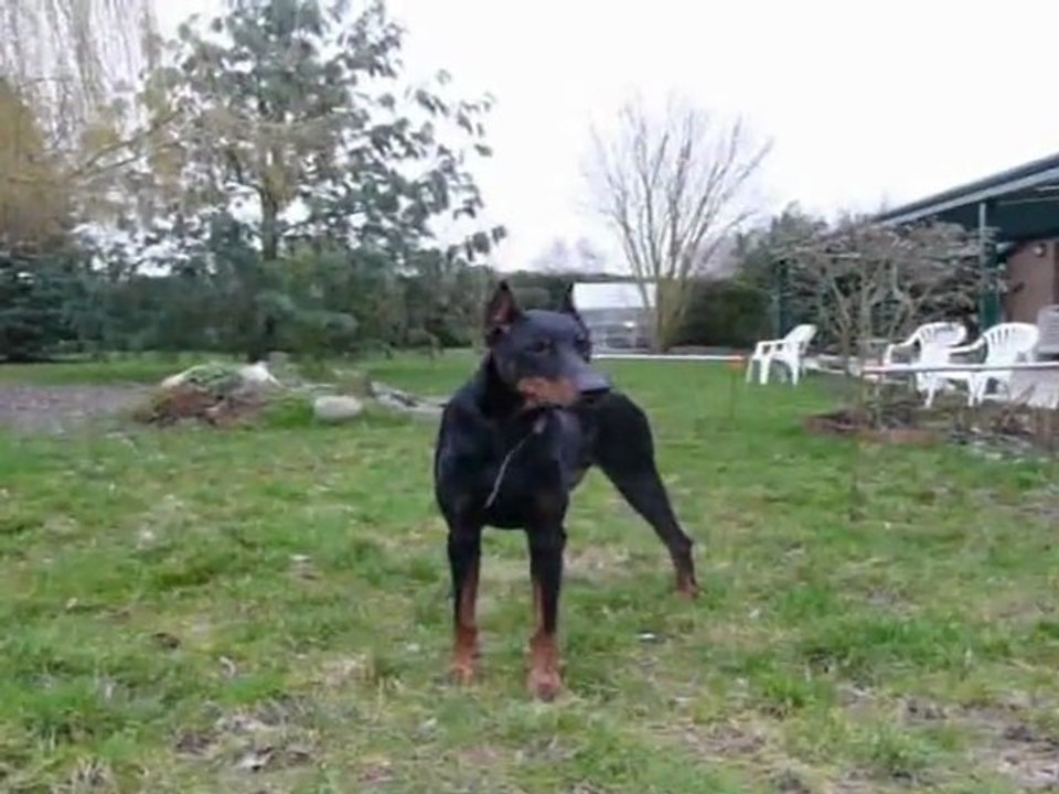 vador 7 ans