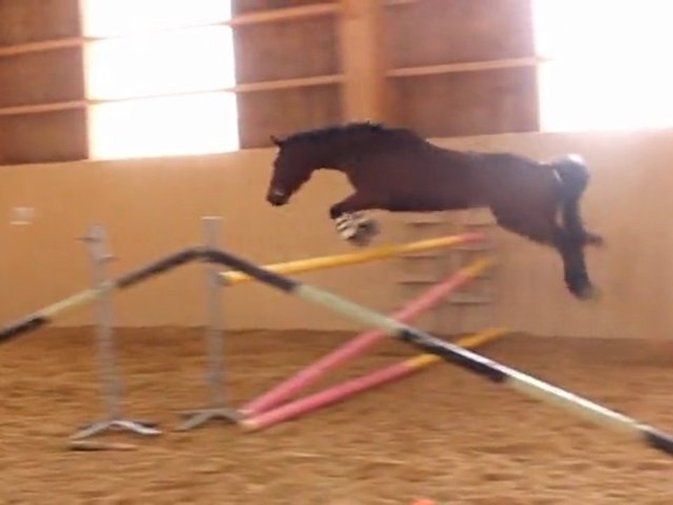saut en lib